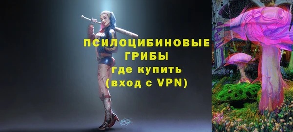 гашик Абинск