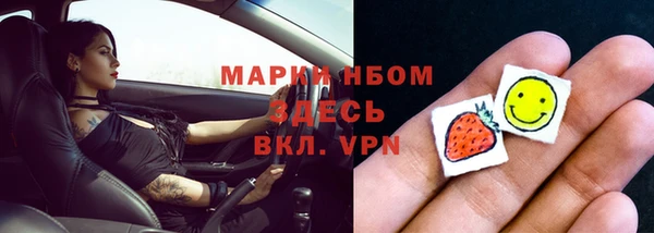 гашик Алексин