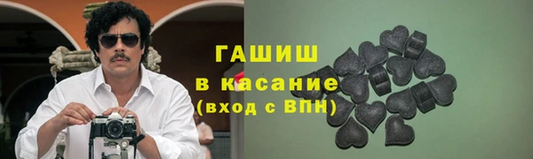 гашик Алексин