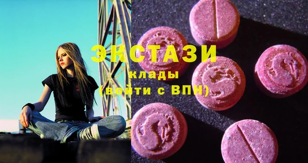 гашик Алексин