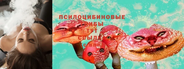 герыч Зерноград