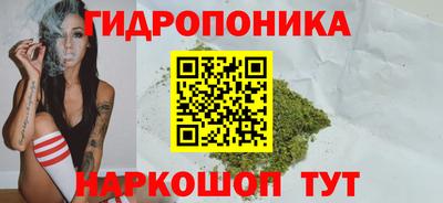 крисы Среднеуральск