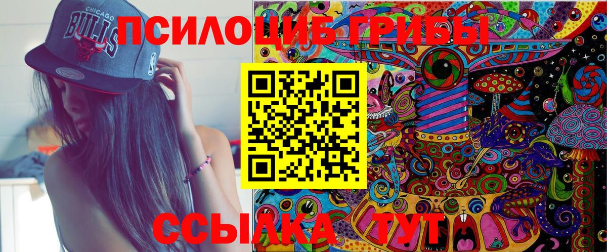 Торжок  Псилоцибиновые грибы мухоморы  Вход с VPN 