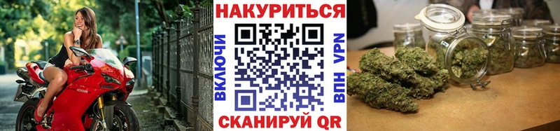 Бошки Шишки семена  Торжок 